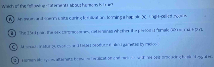 Which of the following statements about humans is true?
A ) An ovum and sperm unite during fertilization, forming a haploid (n), single-celled zygote.
B ) The 23rd pair, the sex chromosomes, determines whether the person is female (XX) or male (XY).
C ) At sexual maturity, ovaries and testes produce diploid gametes by meiosis.
D Human life cycles alternate between fertilization and meiosis, with meiosis producing haploid zygotes.