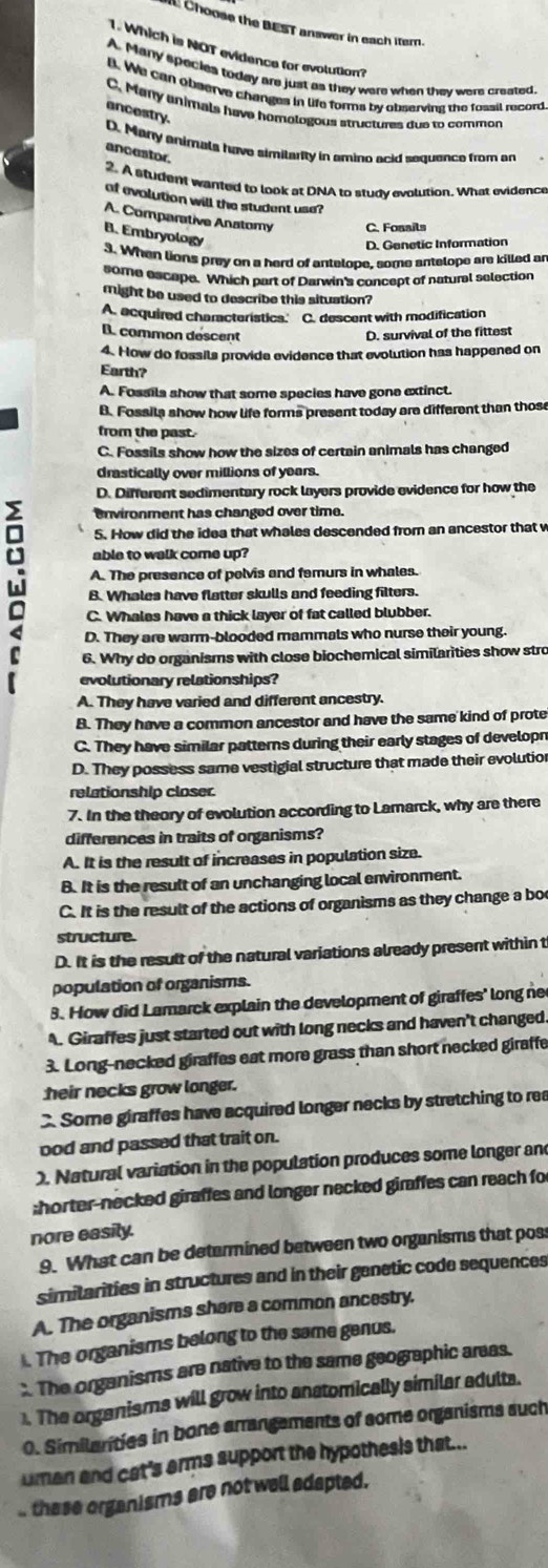 Choose the BEST answer in each iter.
1. Which is NOT evidence for evolution?
A. Many species today are just as they were when they were created
l. We can observe changes in life forms by observing the fossil record
C. Many unimals have homologous structures due to common
ancestry.
D. Many enimats have simitarity in amino acid sequence from an
ancestor.
2. A student wanted to look at DNA to studv evolution. What evidence
of evolution will the student use?
A. Comparative Anatomy C. Fonsils
B. Embryology
D. Genetic Information
3. When lions prey on a herd of antelope, some antelope are killed ar
some escape. Which part of Darwin's concept of natural selection
might be used to describe this situation?
A. acquired characteristics. C. descent with modification
B. common descent
D. survival of the fittest
4. How do fossils provide evidence that evolution has happened on
Earth?
A. Fossils show that some species have gone extinct.
B. Fossila show how life forms present today are different than those
from the past.
C. Fossils show how the sizes of certain animals has changed
drastically over millions of years.
D. Different sedimentary rock layers provide evidence for how the
environment has changed over time.
5. How did the idea that whales descended from an ancestor that w
able to walk come up?
w B. Whales have flatter skulls and feeding filters.
A. The presence of pelvis and femurs in whales.
C. Whales have a thick layer of fat called blubber.
D. They are warm-blooded mammals who nurse their young.
6. Why do organisms with close biochemical similarities show stro
evolutionary relationships?
A. They have varied and different ancestry.
8. They have a common ancestor and have the same kind of prote
C. They have similar patterns during their early stages of developn
D. They possess same vestigial structure that made their evolutior
relationship closer.
7. In the theory of evolution according to Lamarck, why are there
differences in traits of organisms?
A. It is the result of increases in population size.
B. It is the result of an unchanging local environment.
C. It is the result of the actions of organisms as they change a bo
structure.
D. It is the result of the natural variations already present within t
population of organisms.
3. How did Lamarck explain the development of giraffes' long ne
A. Giraffes just started out with long necks and haven't changed.
3. Long-necked giraffes eat more grass than short necked giraffe
heir necks grow longer.
Some giraffes have acquired longer necks by stretching to rea
ood and passed that trait on.
). Natural variation in the population produces some longer and
;horter-necked giraffes and longer necked giraffes can reach fo
nore easily.
9. What can be determined between two organisms that pos
similarities in structures and in their genetic code sequences
A. The organisms share a common ancestry.
. The organisms belong to the same genus.
. The organisms are native to the same geographic areas.
1. The organisms will grow into anatomically similar adulta.
0. Similanties in bone arrangements of some organisms such
uman and cat's erms support the hypothesis that...
thase organisms are not well adapted.