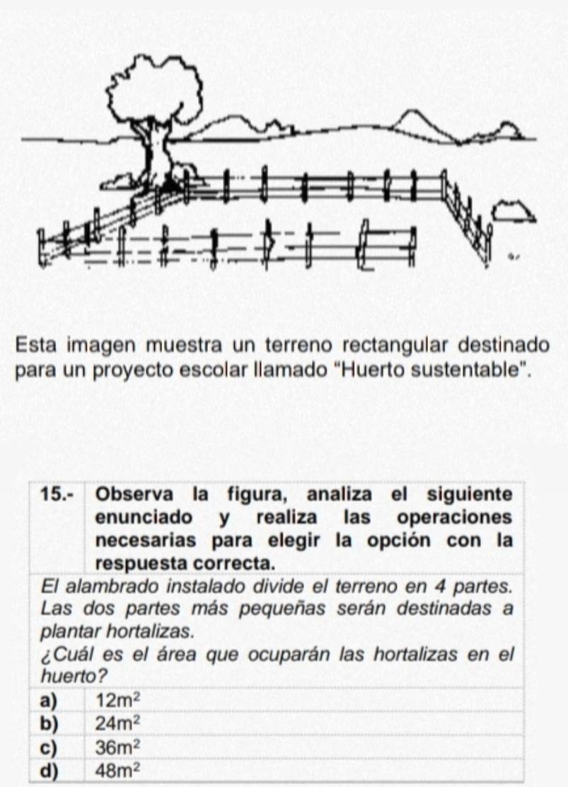 Esta imagen muestra un terreno rectangular destinado
para un proyecto escolar llamado “Huerto sustentable”.
d) 48m^2