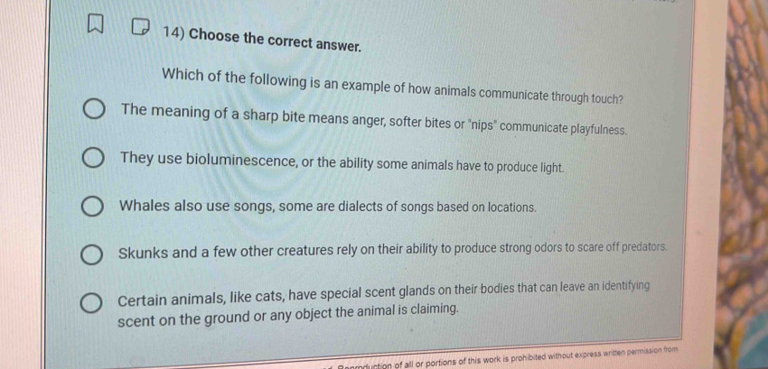 Choose the correct answer.
Which of the following is an example of how animals communicate through touch?
The meaning of a sharp bite means anger, softer bites or "nips" communicate playfulness.
They use bioluminescence, or the ability some animals have to produce light.
Whales also use songs, some are dialects of songs based on locations.
Skunks and a few other creatures rely on their ability to produce strong odors to scare off predators.
Certain animals, like cats, have special scent glands on their bodies that can leave an identifying
scent on the ground or any object the animal is claiming.
Renmduction of all or portions of this work is prohibited without express written permission from