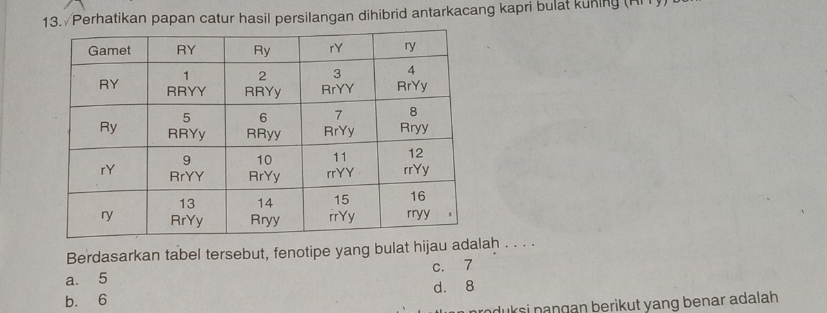 Perhatikan papan catur hasil persilangan dihibrid antarkacang kapri bulat kuning (RIT))
Berdasarkan tabel tersebut, fenotipe yang bulat hijau adalaḥ . . . .
a. 5 c. 7
b. 6 d. 8
nroduksi pangan berikut yang benar adalah .