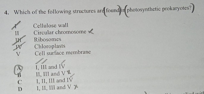 Which of the following structures are found in photosynthetic prokaryotes?
Cellulose wall
Circular chromosome
Ribosomes
IV Chloroplasts
V Cell surface membrane
A I, III and IV
B II, III and V
C I, II, III and IV
D I, II, III and V