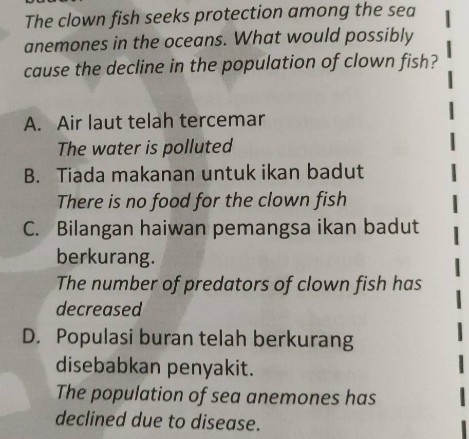 The clown fish seeks protection among the sea
anemones in the oceans. What would possibly
cause the decline in the population of clown fish?
A. Air laut telah tercemar
The water is polluted
B. Tiada makanan untuk ikan badut
There is no food for the clown fish
C. Bilangan haiwan pemangsa ikan badut
berkurang.
The number of predators of clown fish has
decreased
D. Populasi buran telah berkurang
disebabkan penyakit.
The population of sea anemones has
declined due to disease.