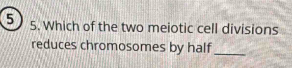 5 5. Which of the two meiotic cell divisions 
reduces chromosomes by half_