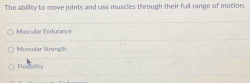 The ability to move joints and use muscles through their full range of motion.
Muscular Endurance
Muscular Strength
Flexibility