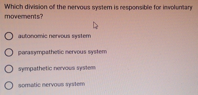 Which division of the nervous system is responsible for involuntary
movements?
autonomic nervous system
parasympathetic nervous system
sympathetic nervous system
somatic nervous system