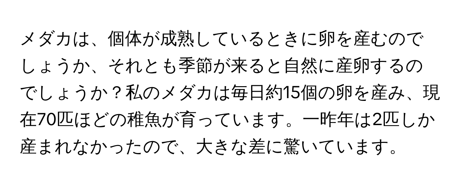 メダカは、個体が成熟しているときに卵を産むのでしょうか、それとも季節が来ると自然に産卵するのでしょうか？私のメダカは毎日約15個の卵を産み、現在70匹ほどの稚魚が育っています。一昨年は2匹しか産まれなかったので、大きな差に驚いています。