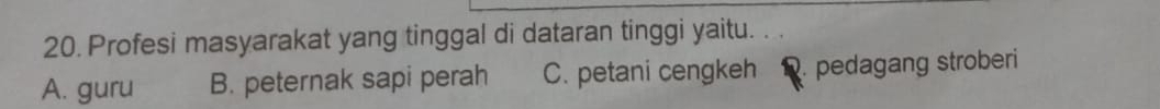 Profesi masyarakat yang tinggal di dataran tinggi yaitu. . .
A. guru B. peternak sapi perah C. petani cengkeh. pedagang stroberi