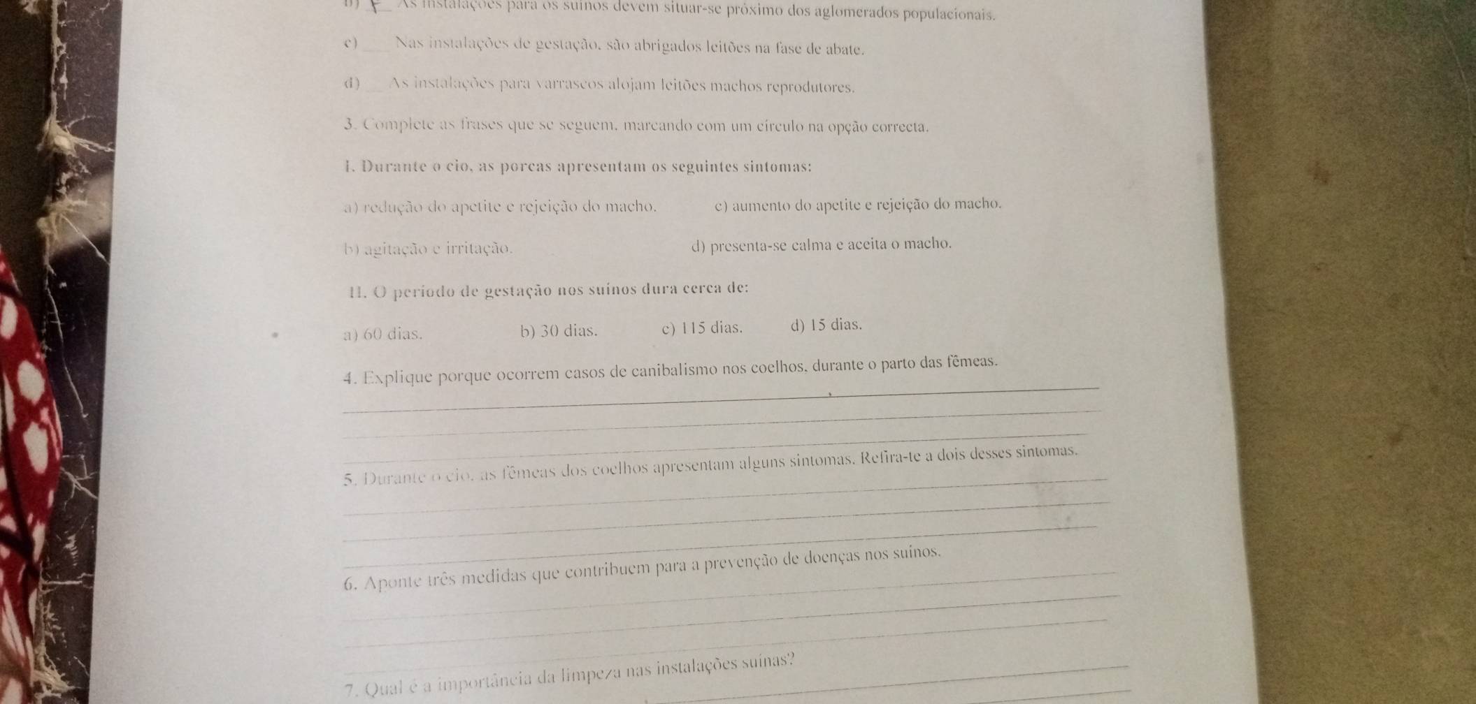 As instalações para os suinos devem situar-se próximo dos aglomerados populacionais.
c)_ Nas instalações de gestação, são abrigados leitões na fase de abate.
d ) As instalações para varrascos alojam leitões machos reprodutores.
3. Complete as frases que se seguem, marcando com um círculo na opção correcta.
1. Durante o cio, as porcas apresentam os seguintes sintomas:
a) redução do apetite e rejeição do macho. c) aumento do apetite e rejeição do macho.
b) agitação e irritação. d) presenta-se calma e aceita o macho.
1. O período de gestação nos suínos dura cerca de:
a) 60 dias. b) 30 dias. c) 115 dias. d) 15 dias.
_
4. Explique porque ocorrem casos de canibalismo nos coelhos, durante o parto das fêmeas.
_
_
_
5. Durante o cio, as fêmeas dos coelhos apresentam alguns sintomas. Refira-te a dois desses sintomas.
_
_
_
_6. Aponte três medidas que contribuem para a prevenção de doenças nos suinos,
_
_
7. Qual é a importância da limpeza nas instalações suínas?