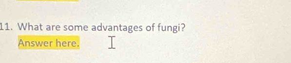 What are some advantages of fungi? 
Answer here.