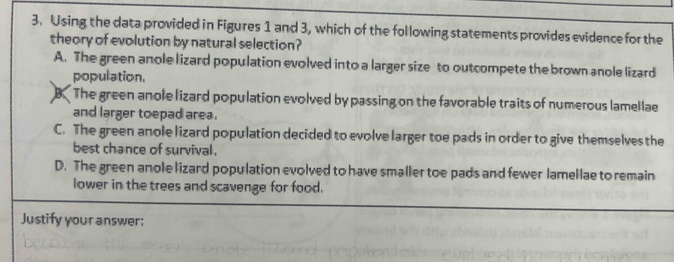 Using the data provided in Figures 1 and 3, which of the following statements provides evidence for the
theory of evolution by natural selection?
A. The green anole lizard population evolved into a larger size to outcompete the brown anole lizard
population.. The green anole lizard population evolved by passing on the favorable traits of numerous lamellae
and larger toepad area .
C. The green anole lizard population decided to evolve larger toe pads in order to give themselves the
best chance of survival.
D. The green anole lizard population evolved to have smaller toe pads and fewer lamellae to remain
lower in the trees and scavenge for food.
Justify your answer: