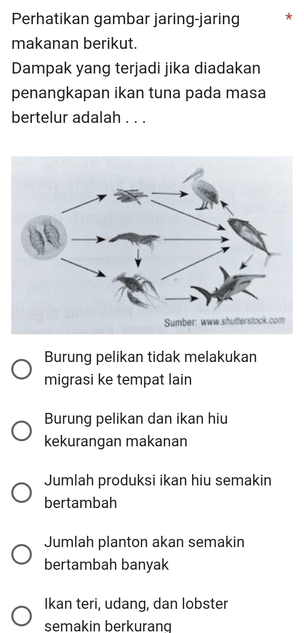 Perhatikan gambar jaring-jaring *
makanan berikut.
Dampak yang terjadi jika diadakan
penangkapan ikan tuna pada masa
bertelur adalah . . .
Burung pelikan tidak melakukan
migrasi ke tempat lain
Burung pelikan dan ikan hiu
kekurangan makanan
Jumlah produksi ikan hiu semakin
bertambah
Jumlah planton akan semakin
bertambah banyak
Ikan teri, udang, dan lobster
semakin berkurang