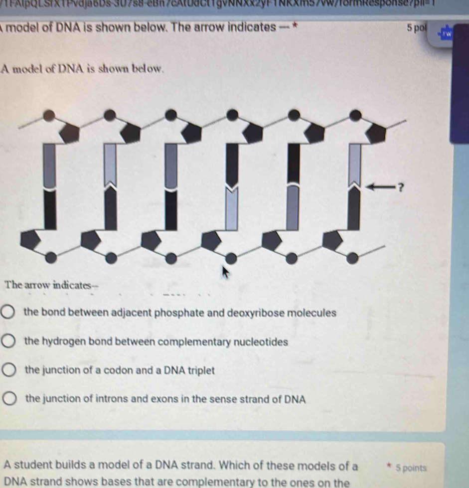 P1FAlβQLSfx1PvdjaBDs 307s8-8BI78xt0dct1gvNNxx2yP1NRxIn57wf8nnR2sp8ns87pI=1
A model of DNA is shown below. The arrow indicates — * 5 pol Fw
A model of DNA is shown below.
The arrow indicates
the bond between adjacent phosphate and deoxyribose molecules
the hydrogen bond between complementary nucleotides
the junction of a codon and a DNA triplet
the junction of introns and exons in the sense strand of DNA
A student builds a model of a DNA strand. Which of these models of a 5 points
DNA strand shows bases that are complementary to the ones on the