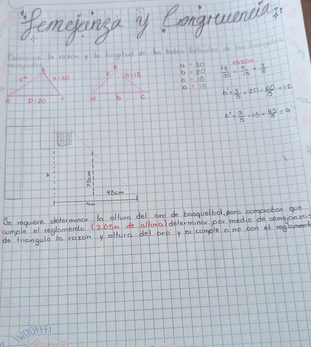 temekinga y Ponguencias
Determina larazon y le ongo u de las ladgo Pallonles de log tonguld
chzon
a=30  8/30 = 9/15 = 3/5 
b=20
c=15
a=18 b'= 3/5 =20= 60/5 =12

c'= 3/5 · 15= 45/5 =9
Se requiere determinar Ia alturd dell ard de basquelbol, para comprobar gue
cumple el reglamento (3. 05m de alfura) determinar por medio de semejanzas
de friangulo la razon y altura del aro yo cumple o no con el reglament