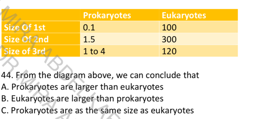 From the diagram above, we can conclude that
A. Prokaryotes are larger than eukaryotes
B. Eukaryotes are larger than prokaryotes
C. Prokaryotes are as the same size as eukaryotes