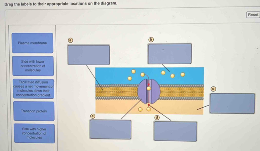 Solved: Drag the labels to their appropriate locations on the diagram ...