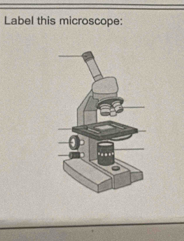 Label this microscope: