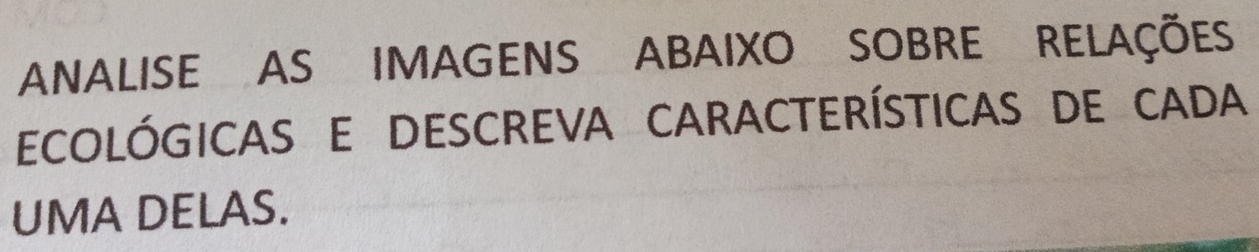 ANALISE AS IMAGENS ABAIXO SOBRE RELAÇÕES 
ECOLÓGICAS E DESCREVA CARACTERÍSTICAS DE CADA 
UMA DELAS.