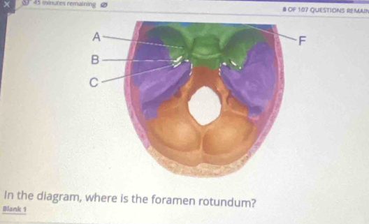 §" 45 minutes remaining # OF 107 QUESTIONS REMAIN 
In the diagram, where is the foramen rotundum? 
Blank 1