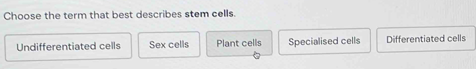 Choose the term that best describes stem cells.
Undifferentiated cells Sex cells Plant cells Specialised cells Differentiated cells