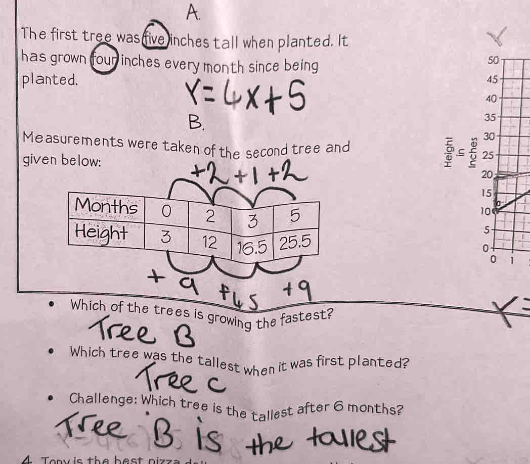 A 
The first tree was five inches tall when planted. It 
has grown four inches every month since being
50
planted. 45
40
35
30
Measurements were taken of the second tree and 
ς  25
given below:
20
15
0
10
5
0
0 1
Which of the trees is growing the fastest? 
Which tree was the tallest when it was first planted? 
Challenge: Which tree is the tallest after 6 months?