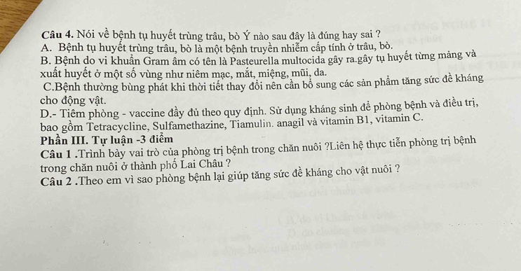 Nói về bệnh tụ huyết trùng trâu, bò Ý nào sau đây là đúng hay sai ?
A. Bệnh tụ huyết trùng trâu, bò là một bệnh truyền nhiễm cấp tính ở trâu, bò.
B. Bệnh do vi khuẩn Gram âm có tên là Pasteurella multocida gây ra.gây tụ huyết từng mảng và
xuất huyết ở một số vùng như niêm mạc, mắt, miệng, mũi, da.
C.Bệnh thường bùng phát khi thời tiết thay đổi nên cần bổ sung các sản phẩm tăng sức đề kháng
cho động vật.
D.- Tiêm phòng - vaccine đầy đủ theo quy định. Sử dụng kháng sinh để phòng bệnh và điều trị,
bao gồm Tetracycline, Sulfamethazine, Tiamulin. anagil và vitamin B1, vitamin C.
Phần III. Tự luận -3 điểm
Câu 1 .Trình bày vai trò của phòng trị bệnh trong chăn nuôi ?Liên hệ thực tiễn phòng trị bệnh
trong chăn nuôi ở thành phố Lai Châu ?
Câu 2 .Theo em vì sao phòng bệnh lại giúp tăng sức đề kháng cho vật nuôi ?