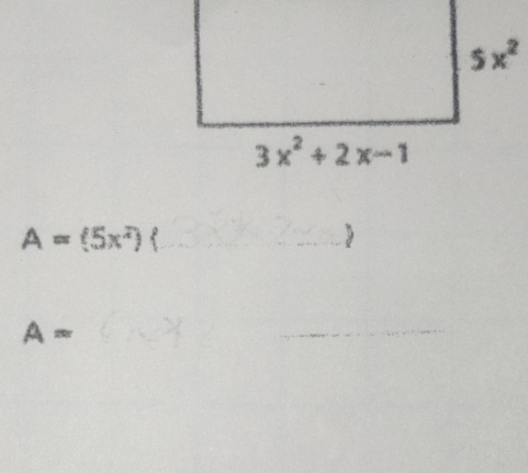 A=(5x^2)(
A=
_