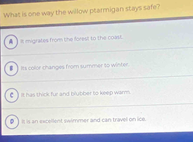 What is one way the willow ptarmigan stays safe?
A It migrates from the forest to the coast.
€] Its color changes from summer to winter.
C) It has thick fur and blubber to keep warm.
D) It is an excellent swimmer and can travel on ice.