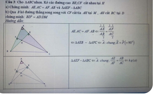 Cho △ ABC nhọn. Kẻ các đường cao BE;CF cắt nhau tại H
a) Chứng minh: AE.AC=AF.AB và △ AEFsim △ ABC
b) Qua B kẻ đường thẳng song song với CF cắt tia AH tại M , AH cắt BC tại D
chứng minh: BD^2=AD.DM