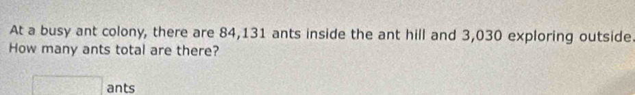 At a busy ant colony, there are 84,131 ants inside the ant hill and 3,030 exploring outside. 
How many ants total are there? 
□ ants