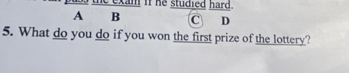 exam if he studied hard. 
A B 
C D 
5. What do you do if you won the first prize of the lottery?