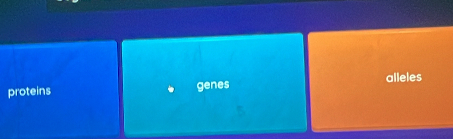 alleles 
proteins genes