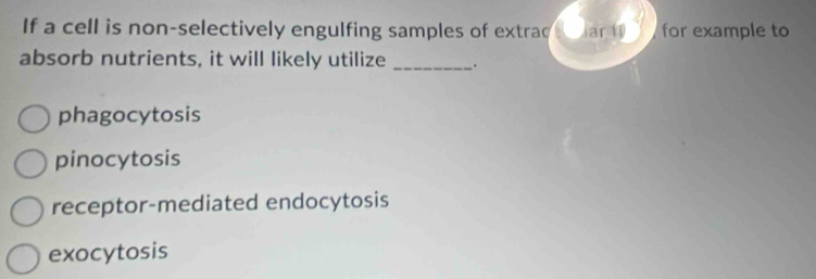 If a cell is non-selectively engulfing samples of extrac ar w° for example to
absorb nutrients, it will likely utilize _.
phagocytosis
pinocytosis
receptor-mediated endocytosis
exocytosis