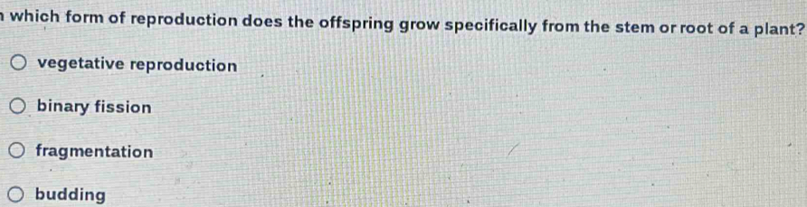 which form of reproduction does the offspring grow specifically from the stem or root of a plant?
vegetative reproduction
binary fission
fragmentation
budding