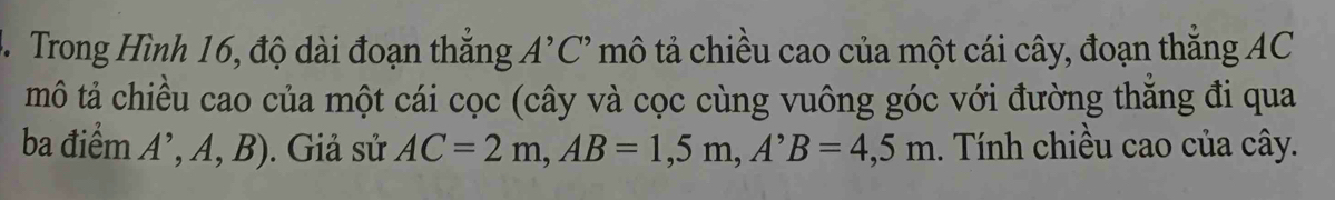 Trong Hình 16, độ dài đoạn thắng A^,C^, mô tả chiều cao của một cái cây, đoạn thắng AC
mô tả chiều cao của một cái cọc (cây và cọc cùng vuông góc với đường thăng đi qua 
ba điểm A^,,A,B). Giả sử AC=2m, AB=1,5m, A^,B=4,5m. Tính chiều cao của cây.