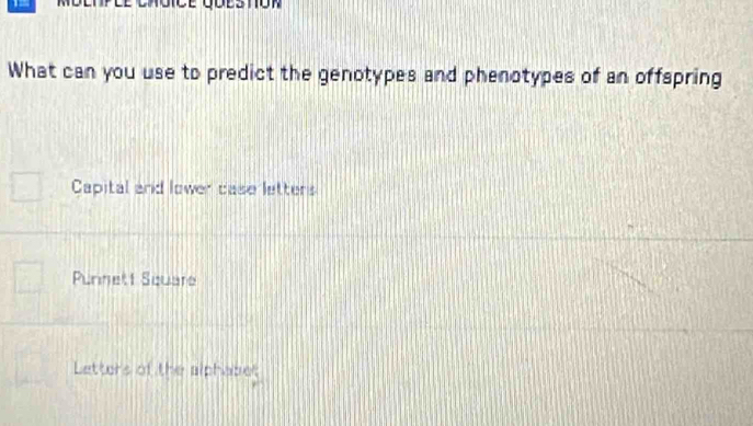 What can you use to predict the genotypes and phenotypes of an offspring
Capital and lower case letters
Purnett Square
Letters of the alphabet