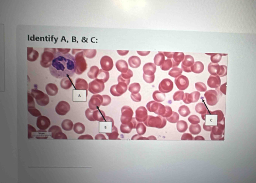 Identify A, B, & C : 
_