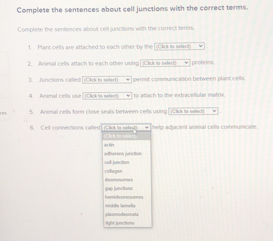 Complete the sentences about cell junctions with the correct terms.
Complete the sentences about cell junctions with the correct terms.
1. Plant cells are attached to each other by the (Click to select)
2. Animal cells attach to each other using (Click to select) proteins.
3. Junctions called (Click to select) permit communication between plant cells.
4. Animal cells use (Click to select) to attach to the extracellular matrix.
ces 5. Animal cells form close seals between cells using (Click to select)
6. Cell connections called (Click to select) help adjacent animal cells communicate.
(Click to select)
actin
adherens junction
cell junction
collagen
desmosomes
gap junctions
hemidesmosomes
middle lamella
plasmodesmata
tight junctions