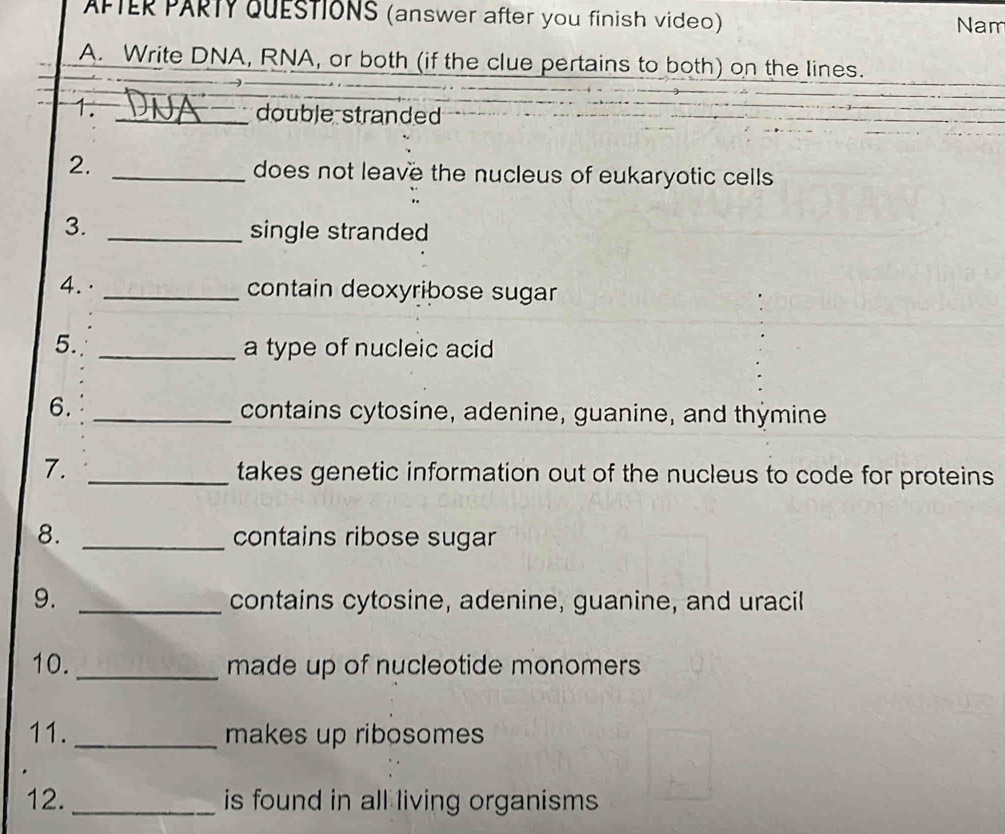 APTER PARTY QUESTIONS (answer after you finish video) Nam 
A. Write DNA, RNA, or both (if the clue pertains to both) on the lines. 
1. _double stranded 
2. _does not leave the nucleus of eukaryotic cells 
3. _single stranded 
4. · _contain deoxyribose sugar 
5. _a type of nucleic acid 
6. _contains cytosine, adenine, guanine, and thymine 
7. _takes genetic information out of the nucleus to code for proteins 
8. _contains ribose sugar 
9. _contains cytosine, adenine, guanine, and uracil 
10. _made up of nucleotide monomers 
11. _makes up ribosomes 
12._ is found in all living organisms