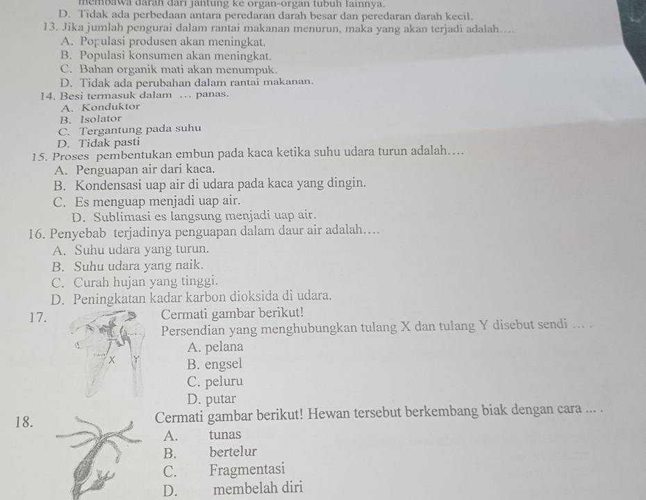 membawa đārāh dari jantung ke organ-organ tubuh lainnya.
D. Tidak ada perbedaan antara peredaran darah besar dan peredaran darah kecil.
13. Jika jumlah pengurai dalam rantai makanan menurun, maka yang akan terjadi adalah…..
A. Populasi produsen akan meningkat.
B. Populasi konsumen akan meningkat.
C. Bahan organik mati akan menumpuk.
D. Tidak ada perubahan dalam rantai makanan.
14. Besi termasuk dalam … panas.
A. Konduktor
B. Isolator
C. Tergantung pada suhu
D. Tidak pasti
15. Proses pembentukan embun pada kaca ketika suhu udara turun adalah….
A. Penguapan air dari kaca.
B. Kondensasi uap air di udara pada kaca yang dingin.
C. Es menguap menjadi uap air.
D. Sublimasi es langsung menjadi uap air.
16. Penyebab terjadinya penguapan dalam daur air adalah…
A. Suhu udara yang turun.
B. Suhu udara yang naik.
C. Curah hujan yang tinggi.
D. Peningkatan kadar karbon dioksida di udara.
17. Cermati gambar berikut!
Persendian yang menghubungkan tulang X dan tulang Y disebut sendi ... .
A. pelana
x B. engsel
C. peluru
D. putar
18. Cermati gambar berikut! Hewan tersebut berkembang biak dengan cara ... .
A. tunas
B. bertelur
C. Fragmentasi
D. membelah diri