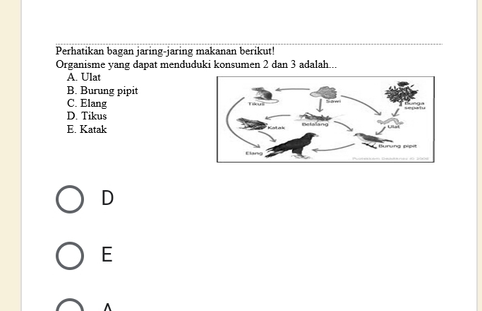 Perhatikan bagan jaring-jaring makanan berikut!
Organisme yang dapat menduduki konsumen 2 dan 3 adalah...
A. Ulat
B. Burung pipit
C. Elang
D. Tikus
E. Katak
D
E
^