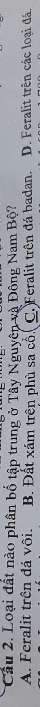 Cầu 2. Loại đất nào phân bố tập trung ở Tây Nguyên và Đông Nam Bộ?
A. Feralit trên đá vôi. B. Đất xám trên phù sa cổ. C. Feralit trên đá badan. D. Feralit trên các loại đá.