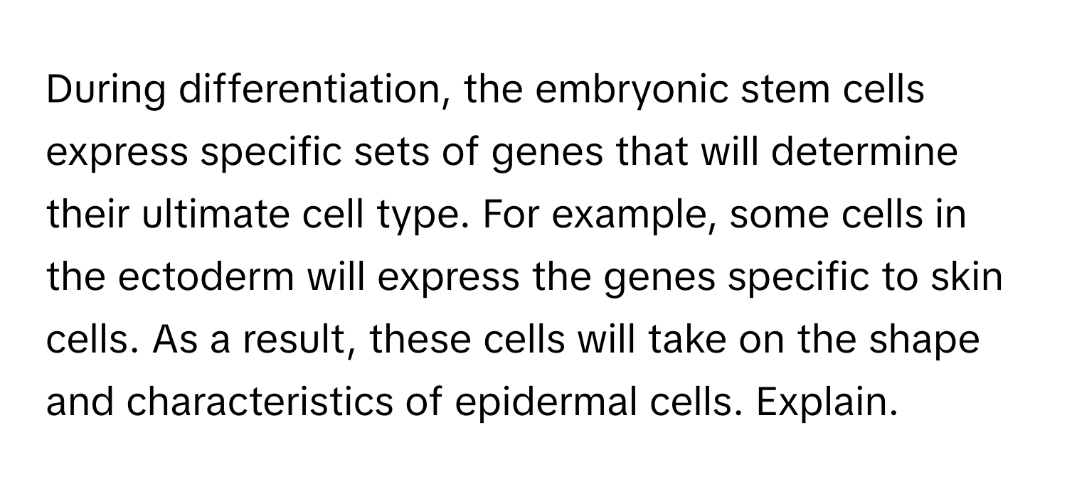 During differentiation, the embryonic stem cells express specific sets of genes that will determine their ultimate cell type. For example, some cells in the ectoderm will express the genes specific to skin cells. As a result, these cells will take on the shape and characteristics of epidermal cells. Explain.