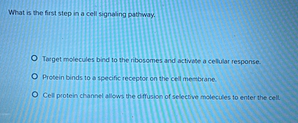 What is the first step in a cell signaling pathway.
Target molecules bind to the ribosomes and activate a cellular response.
Protein binds to a specific receptor on the cell membrane.
Cell protein channel allows the diffusion of selective molecules to enter the cell.