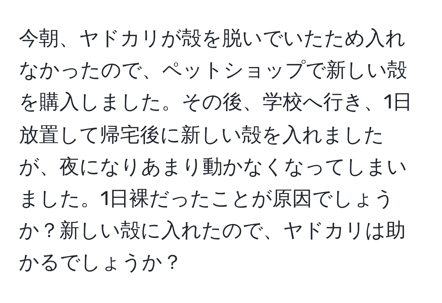 今朝、ヤドカリが殻を脱いでいたため入れなかったので、ペットショップで新しい殻を購入しました。その後、学校へ行き、1日放置して帰宅後に新しい殻を入れましたが、夜になりあまり動かなくなってしまいました。1日裸だったことが原因でしょうか？新しい殻に入れたので、ヤドカリは助かるでしょうか？