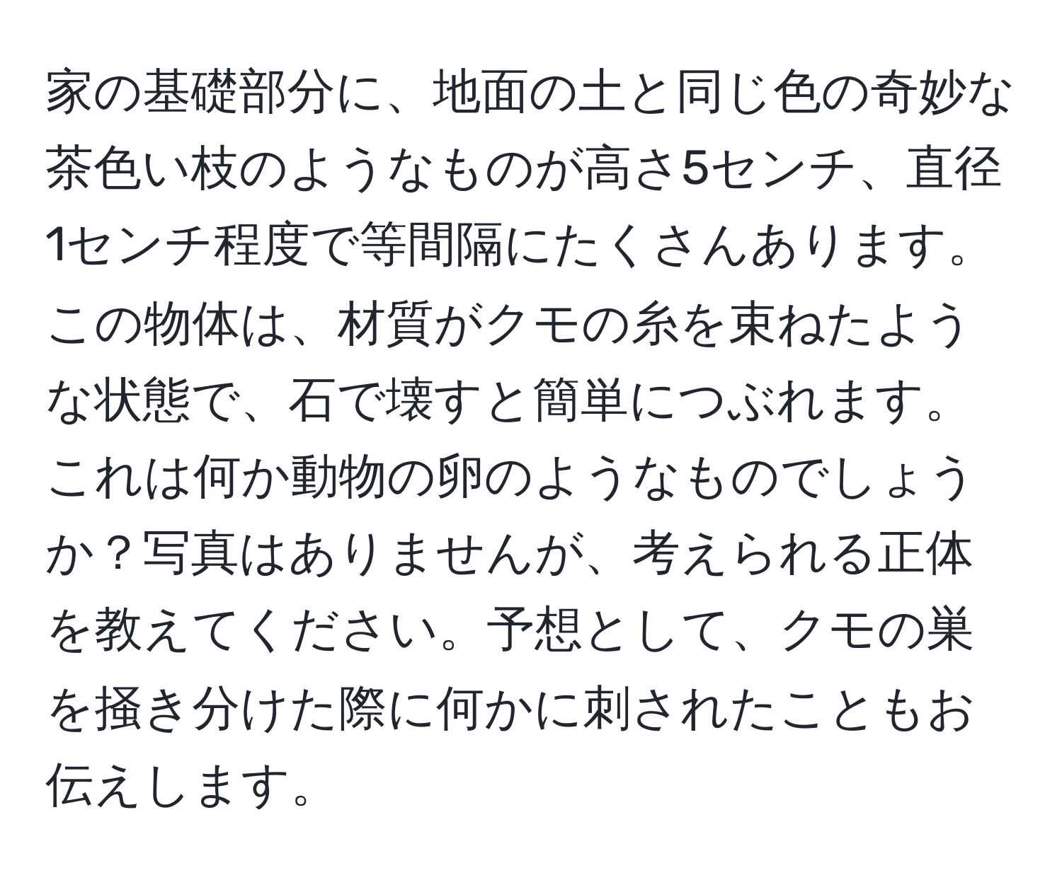 家の基礎部分に、地面の土と同じ色の奇妙な茶色い枝のようなものが高さ5センチ、直径1センチ程度で等間隔にたくさんあります。この物体は、材質がクモの糸を束ねたような状態で、石で壊すと簡単につぶれます。これは何か動物の卵のようなものでしょうか？写真はありませんが、考えられる正体を教えてください。予想として、クモの巣を掻き分けた際に何かに刺されたこともお伝えします。