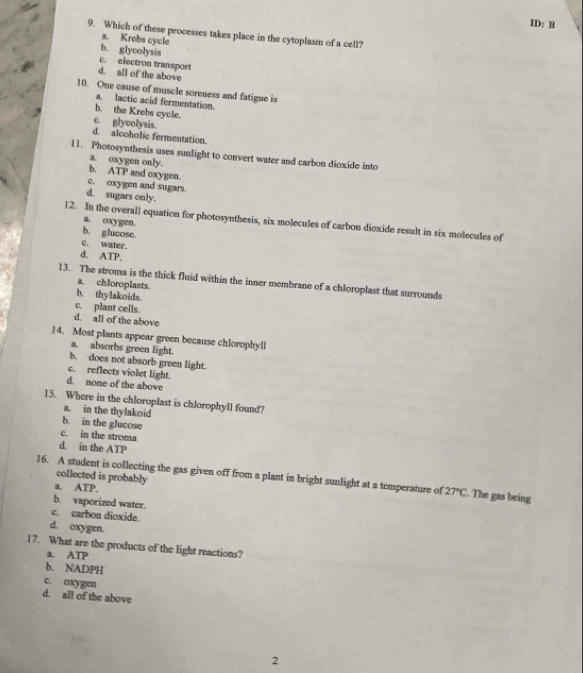 ID: B
9. Which of these processes takes place in the cytoplasm of a cell?
a. Krebs cycle
b. glycolysis
c. electron transport
d. all of the above
10. One cause of muscle soreness and fatigue is
a. lactic acid fermentation.
c. glycolysis. b. the Krebs cycle.
d. alcoholic fermentation.
11. Photosynthesis uses sunlight to convert water and carbon dioxide into
a. oxygen only.
b. ATP and oxygen.
c. oxygen and sugars.
d. sugars only.
12. In the overall equation for photosynthesis, six molecules of carbon dioxide result in six molecules of
a. oxygen.
b. glucose.
c. water.
d. ATP.
13. The stroma is the thick fluid within the inner membrane of a chloroplast that surrounds
a. chloroplasts.
b. thylakoids.
c. plant cells.
d. all of the above
14. Most plants appear green because chlorophyll
a. absorbs green light.
b. does not absorb green light.
c. reflects violet light.
d. none of the above
15. Where in the chloroplast is chlorophyll found?
a. in the thylakoid
b. in the glucose
c. in the stroma
d. in the ATP
16. A student is collecting the gas given off from a plant in bright sunlight at a temperature of collected is probably 27°C. The gas being
a. ATP.
b. vaporized water.
c. carbon dioxide.
d. oxygen.
17. What are the products of the light reactions?
a ATP
b. NADPH
c. oxygen
d. all of the above
2