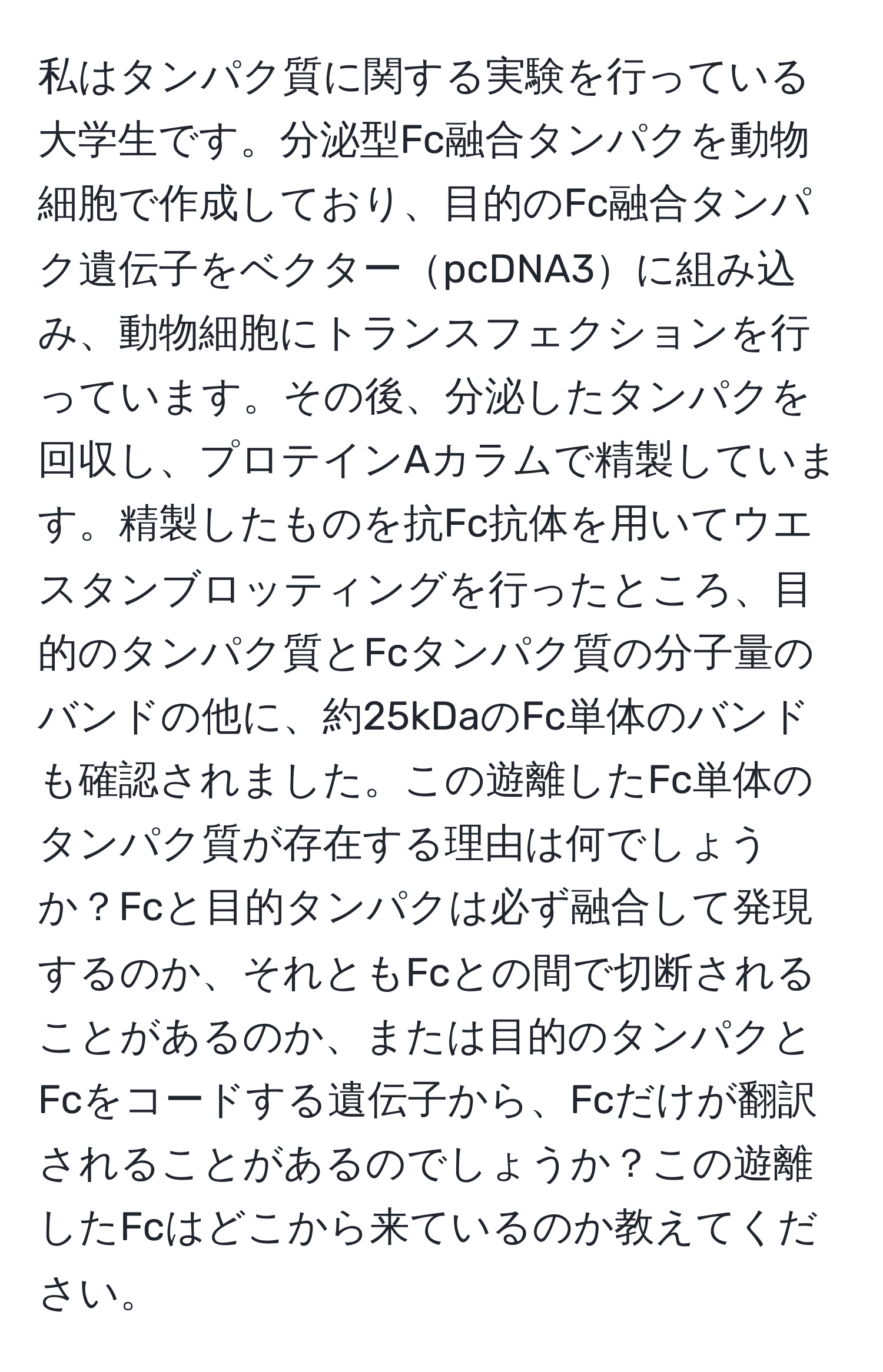 私はタンパク質に関する実験を行っている大学生です。分泌型Fc融合タンパクを動物細胞で作成しており、目的のFc融合タンパク遺伝子をベクターpcDNA3に組み込み、動物細胞にトランスフェクションを行っています。その後、分泌したタンパクを回収し、プロテインAカラムで精製しています。精製したものを抗Fc抗体を用いてウエスタンブロッティングを行ったところ、目的のタンパク質とFcタンパク質の分子量のバンドの他に、約25kDaのFc単体のバンドも確認されました。この遊離したFc単体のタンパク質が存在する理由は何でしょうか？Fcと目的タンパクは必ず融合して発現するのか、それともFcとの間で切断されることがあるのか、または目的のタンパクとFcをコードする遺伝子から、Fcだけが翻訳されることがあるのでしょうか？この遊離したFcはどこから来ているのか教えてください。