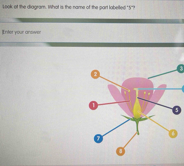 Solved: Look at the diagram. What is the name of the part labelled 