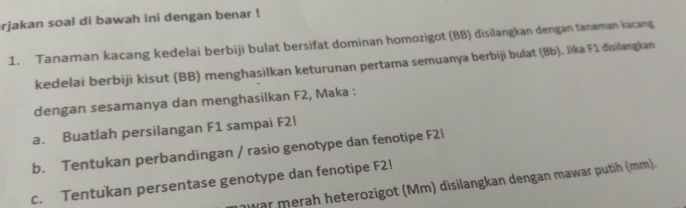 rjakan soal di bawah ini dengan benar ! 
1. Tanaman kacang kedelai berbiji bulat bersifat dominan homozigot (BB) disilangkan dengan tanaman kacang 
kedelai berbiji kisut (BB) menghasilkan keturunan pertama semuanya berbiji bulat (Bb). Jika F1 disilangkan 
dengan sesamanya dan menghasilkan F2, Maka : 
a. Buatlah persilangan F1 sampai F2! 
b. Tentukan perbandingan / rasio genotype dan fenotipe F2! 
c. Tentukan persentase genotype dan fenotipe F2! 
war merah heterozigot (Mm) disilangkan dengan mawar putih (mm).